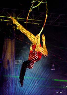 DSC00800